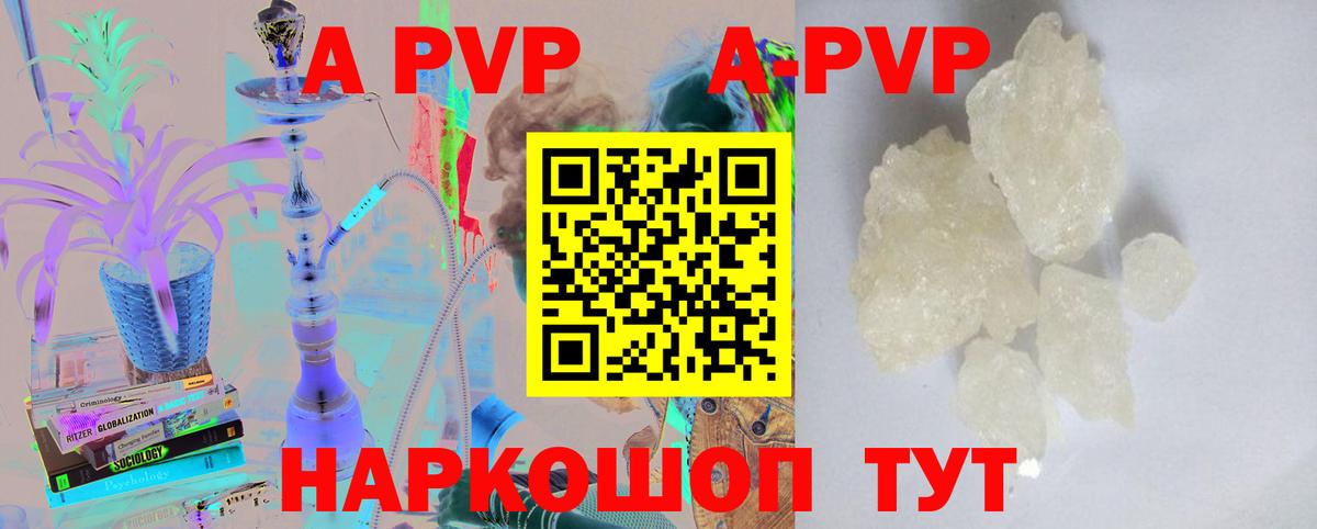 A PVP СК КРИС Выборг