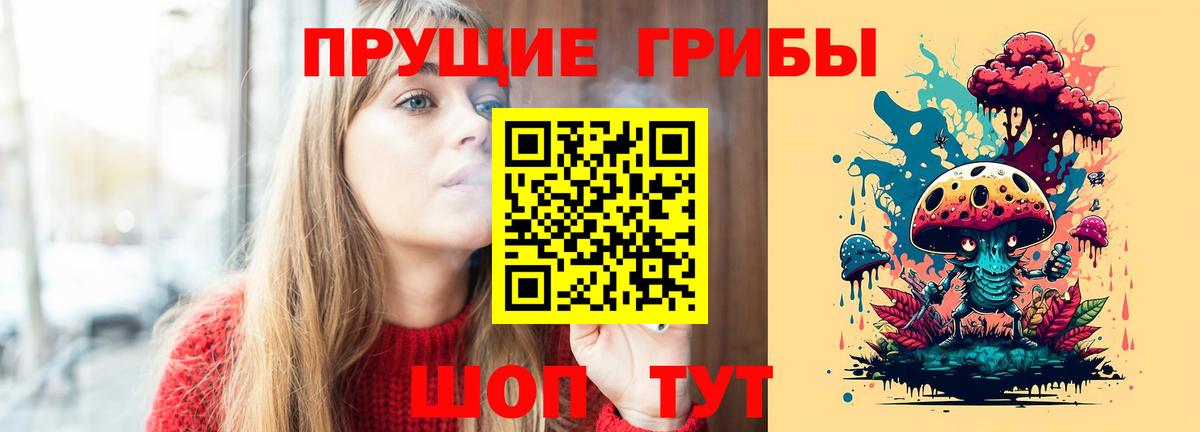 Галлюциногенные грибы прущие грибы  Вход с VPN  Выборг  Псилоцибиновые грибы Psilocybine cubensis 